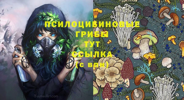 гидропоника Магадан