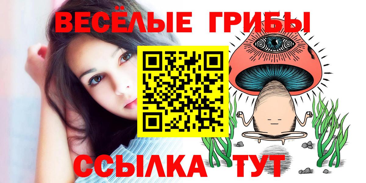 Галлюциногенные грибы Cubensis  Благодарный  Псилоцибиновые грибы Psilocybine cubensis 